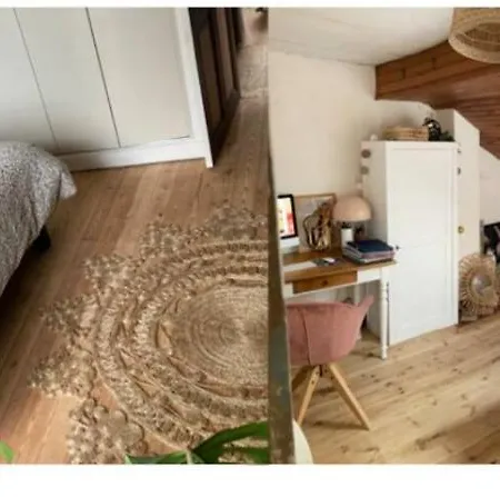 Homestay Maison Cosy - Le Mans